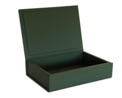 Die Buchbox: Leder - Kaktus - Groß