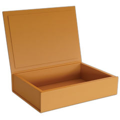 Die Buchbox: Leder - Safran - Groß