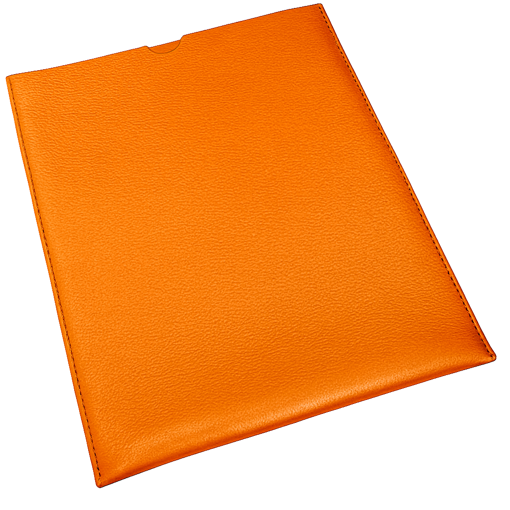 Die Laptop-Hülle: Überschüssiges Leder - Grau - Onesize (13") 